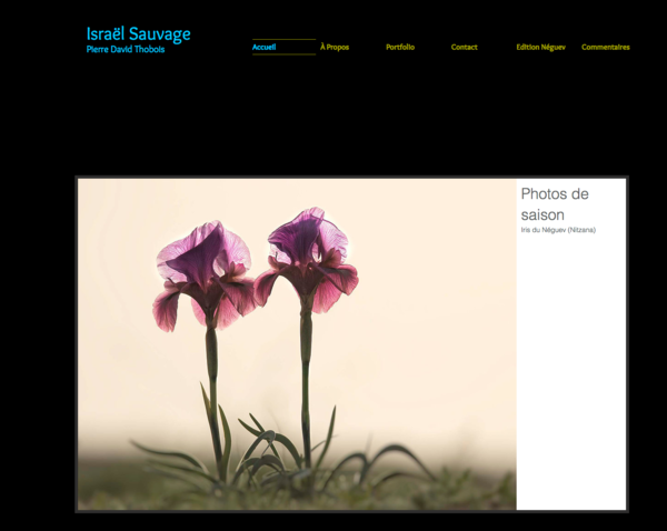 Site "israël sauvage"